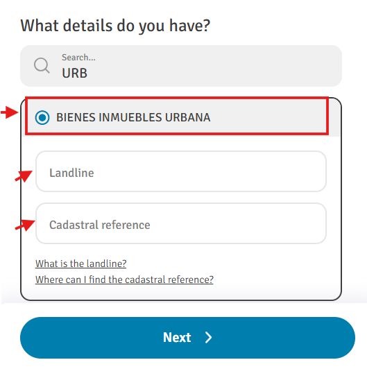Enter IBI details from bank statement